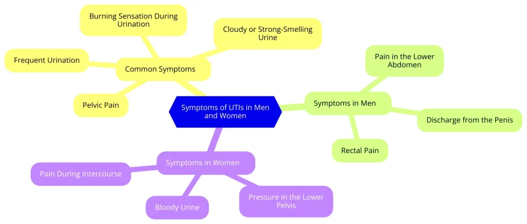 Symptoms of UTIs in Men and Women